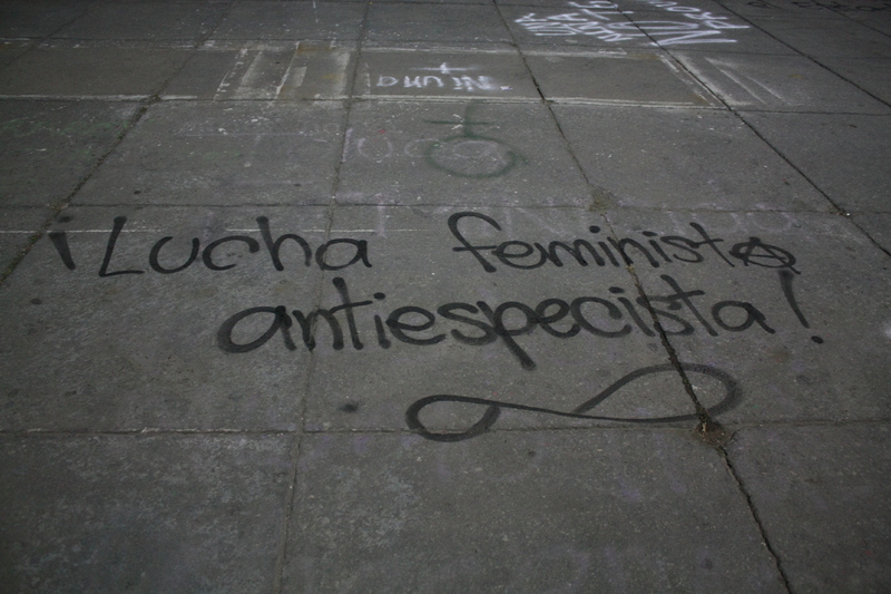 Lucha feminista antiespecista