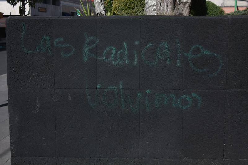 Las radicales volvimos