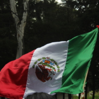 Bandera de México ondeando<br /><br />
Marcha 11 de septiembre de 2018