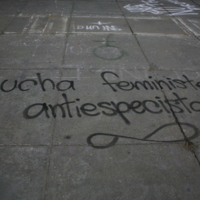 Lucha feminista antiespecista