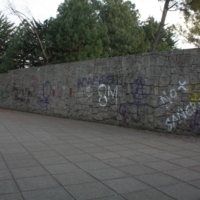 _MG_9664.JPG
