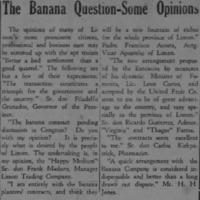 The Banana Question-Some Opinions.png